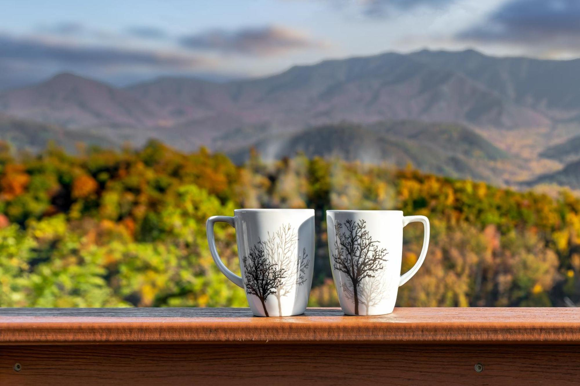 3 Bears Chalet Gatlinburg Bagian luar foto